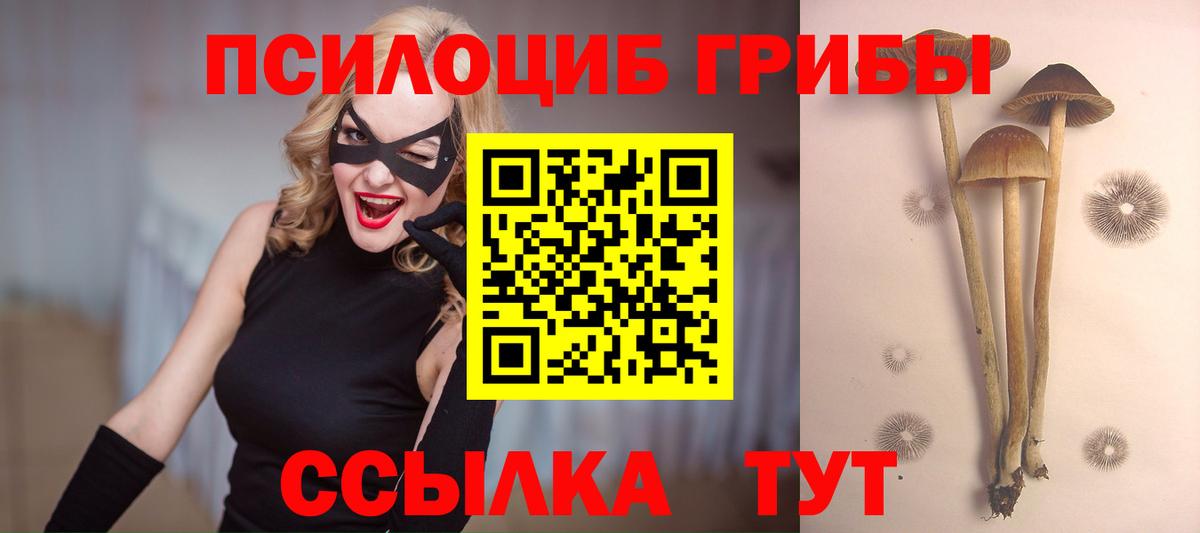 Псилоцибиновые грибы Psilocybine cubensis  Псилоцибиновые грибы Magic Shrooms  Вход с VPN  Алексин 